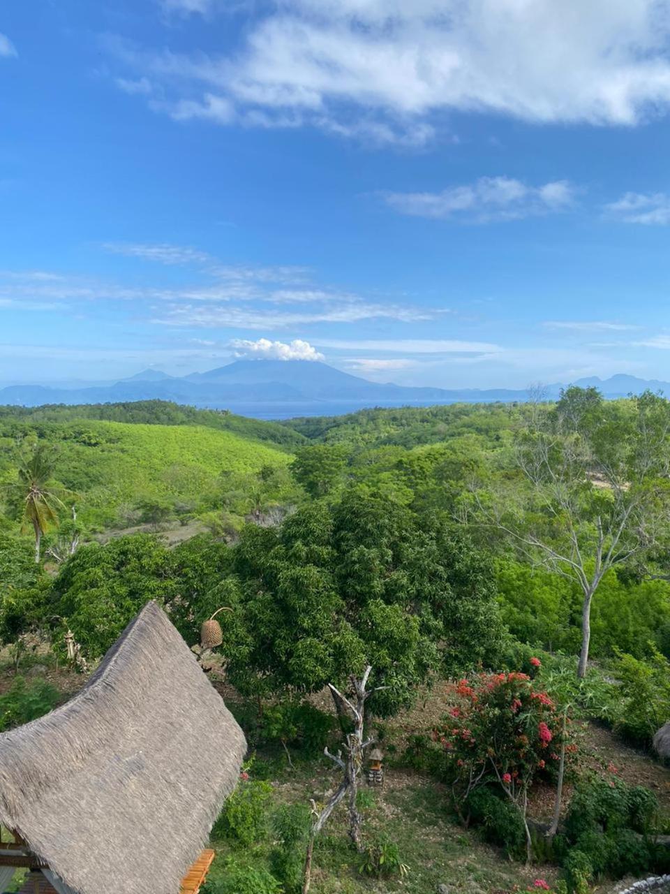 Penida Bambu Green Toyapakeh Luaran gambar